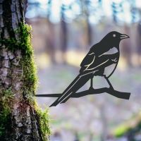 Magpie Tree Spike in the Woodlands