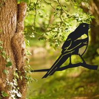 Magpie Tree Spike in Situ