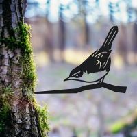 Cettis Warblere Spike in the Woodlands Cettis Warblere Spike in the Woodlands