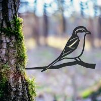 Great Grey Shrike Spike in the Woodlands