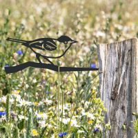 Blackcap Tree Spike in Garden