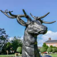 Close up of Stag Sculpture head and neck 