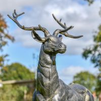 Black & Gold Stag Sculpture 