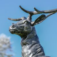 View up of Black & Gold Stag Sculpture 