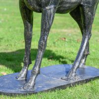 Close up of integrated base 