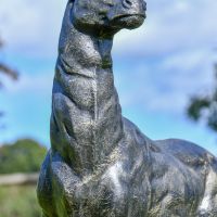 Close up of Neck detailing on Stag 