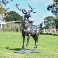 Gold & Black Stag Sculpture in Situ 
