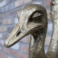 Close-Up of Facial Detail