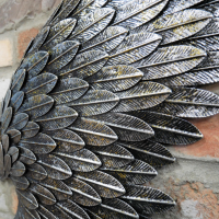 Close up of feather layering 