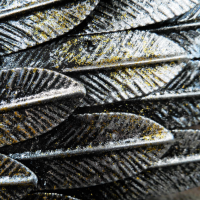 Close up of antique silver feathering 