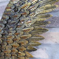 Close up of feathering on wing 