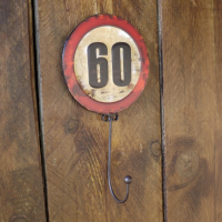 60 Speed Sign & Hook