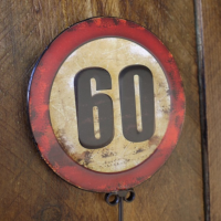 60 Speed Sign & Hook 