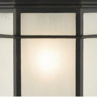 Close up of Black Finish on "Owlpen" Light 