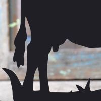 Close-up of the Black Finish on the Cow Iron Door Stop Close-up of the Black Finish on the Cow Iron Door Stop