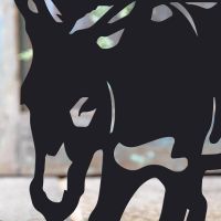 Close-up of the Black Finish on the Donkey Iron Door Stop Close-up of the Black Finish on the Donkey Iron Door Stop