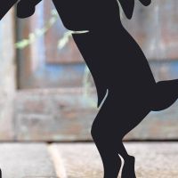 Close-up of the Black Finish on the Boxing Hares Iron Door Stop