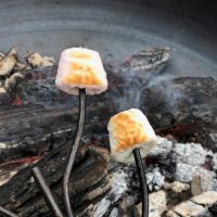 Marshmallows" over Fire 