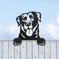 Black Labrador Fence Topper in Situ 