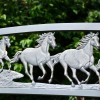 Close up of running horse back rest 