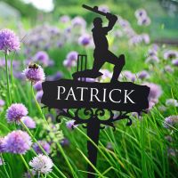 Cricket Memorial Ground Spike in Full 