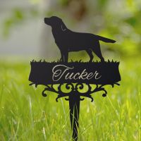 Labrador Memorial Spike in Situ 