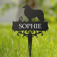 Rough Collie Ground Spike 