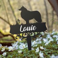 Rough Collie Ground Spike