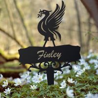 Liver Bird Ground Spike in Situ 