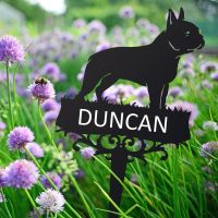 Boston Terrier Spike with Personalisation  Boston Terrier Spike with Personalisation