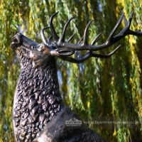 Classic bronze finish Highland Stag on rock