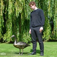 Looking Up Bronze Finish Geese Garden Sculpture Scale