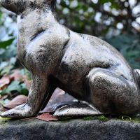 Close up of Sitting Rabbit Sculpture Body 