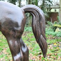 Close up of horse tail 