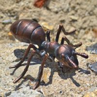 Mini Ant Sculpture Mini Ant Sculpture
