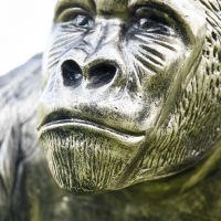 Close up of Gorilla Sculpture Face 