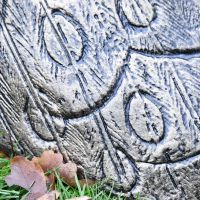 Close up of peacock etching 