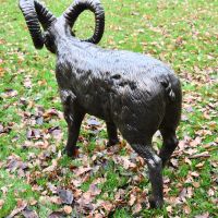 Rear view of Standing Ram Sculpture Rear view of Standing Ram Sculpture