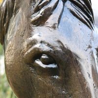 Close up of detailed eye 