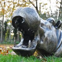 Close up of mouth and teeth Close up of mouth and teeth