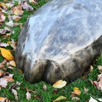 Rear end of half hippo sculpture Rear end of half hippo sculpture