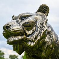 Close up of Black & Gold Tiger Sculpture Face and Fur detailing