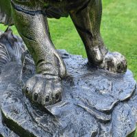 Close up of Tiger paws with leg and fur detailing