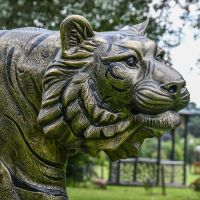 Close up of Tiger Face complete with fur detailing