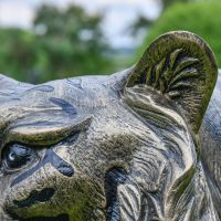 Close up of Black & Gold Tiger Sculpture Ear and Head