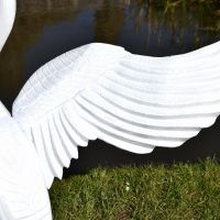Close up of Swan Wing and feathering detailing 