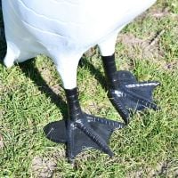 Close up of black feet on Swan Sculpture 