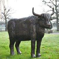 Highland Cow Sculpture in Antique Bronze 