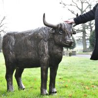 Highland Cow Sculpture in Full 