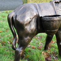 Close up of Donkey rear and basket  Close up of Donkey rear and basket